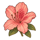 Azalea flower
