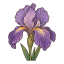 Iris flower
