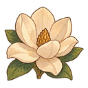 Magnolia flower