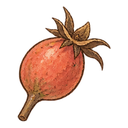 Rose seed
